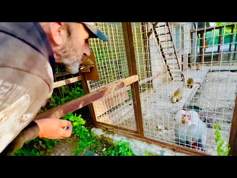 Джоник общается со мной, Люська с Владом и ВСЕ СЧАСТЛИВЫ)