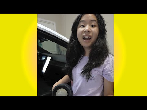 Tesla Auto Unexpected Pranks