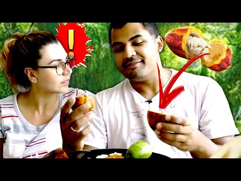 PROVANDO FRUTAS EXÓTICAS DA ROÇA