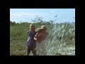 Compreensão de Vídeo e Reações