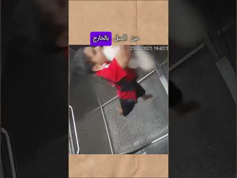 أنقذ كلبه بآخر لحظة