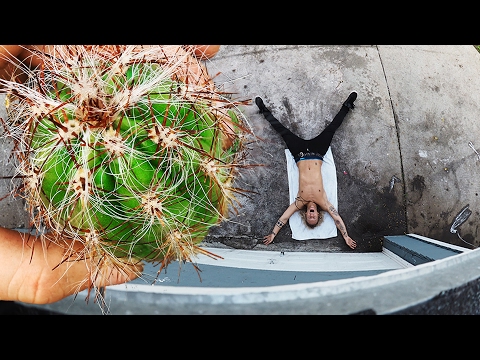 Cactus Catch!