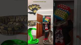 Animal funny video Anaconda snake python movie in real life bhoot wala #bhojpuri #vfx #shorts 2025