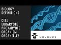 Cell Structure and Function Concepts