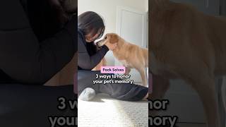 Creative Ways to Memorialize Your Pet | The Pack