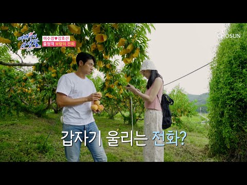 수경에게 결려온 한 통의 전화📞 이대로 데이트 끝...?🤔 TV CHOSUN 240917 방송 | [공개연애-여배우의 사생활] 5회 | TV조선