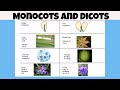 Understanding Monocots and Dicots