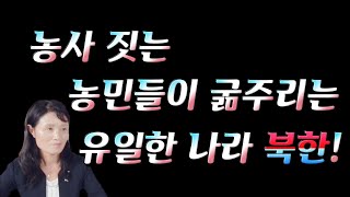 (25/8월7일)북한 농민들은 왜 굶주리는가?