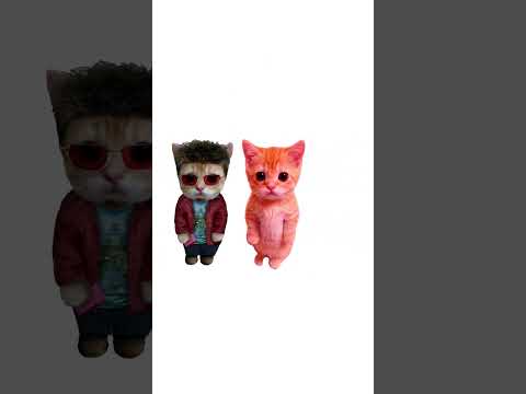 How does rabies work? explain with kitties