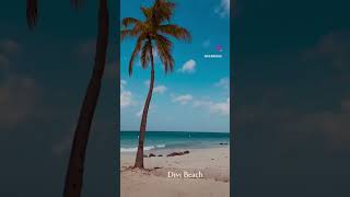 One of Aruba”s gorgeous beaches ❤️ #aruba #beach #travel #onehappyisland