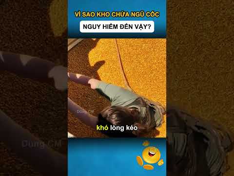 VÌ SAO KHO CHỨA NGŨ CỐC NGUY HIỂM ĐẾN VẬY?