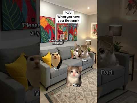 CAT MEMES 🐱When you have your first crush #catmemes #relatable #relationship