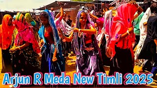 Arjun R Meda Karigar New Timli 2025 | Adivasi Timli Dance 💥 #viralvideo #adivasi @NareshRathwa