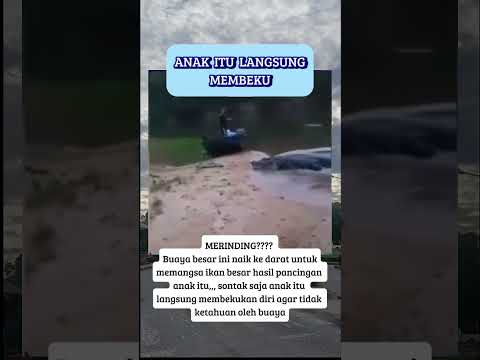 langsung membeku ga tuh #fypshorts #shortvideo #fypシ゚viral #masukberanda