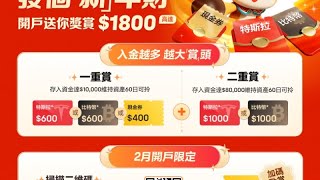 2月12日 港股大收益 - 中概股继续追高？阿里巴巴 小米 比亚迪 中金 中信证券这些还有机会。