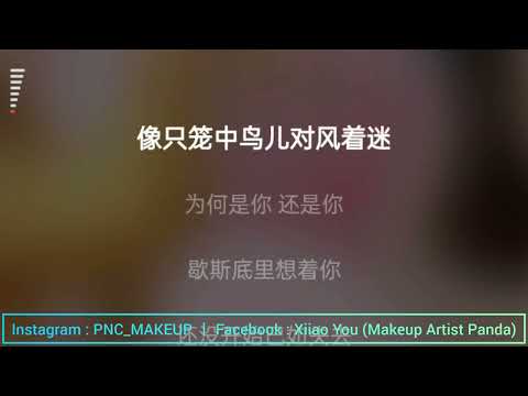 赵奕欢 那么喜欢你 伴奏音乐 KTV Music || 欢迎点歌