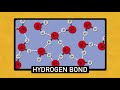 Exploring the Unique Properties of Water