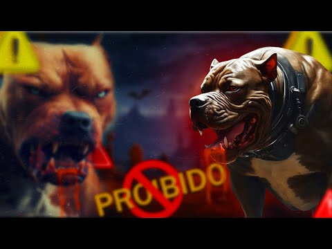 Veja os Cachorro Proibido em Todo Mundo