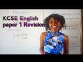 Understanding Puns and Homophones