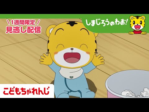 【見逃し配信】テレビ番組「しまじろうのわお！」#655 ｜はなねーたんと　ハイハイあかちゃん【しまじろうチャンネル公式】