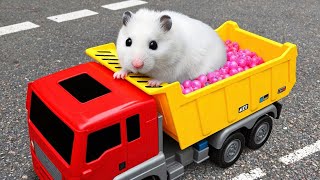 🐹 Hamster Escapes from Pet Maze on Truck 💀 OBSTACLE COURSE