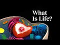 Understanding Life and Biology