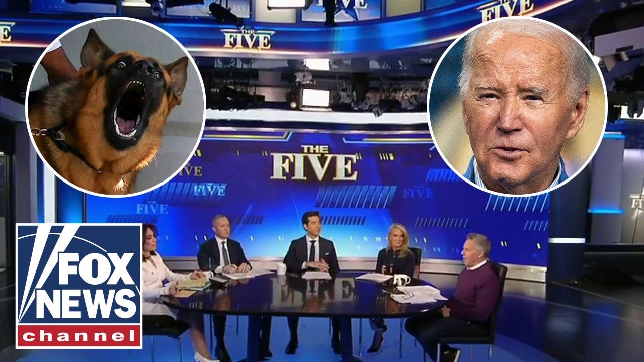 ‘The Five’ reacts to Biden giving away his dog after 24 bites