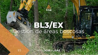 Video - FAE BL3/EX - La trituradora forestal FAE BL3/EX con una excavadora Supertrak SK200MX