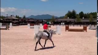 Tryon International Equestrian Center