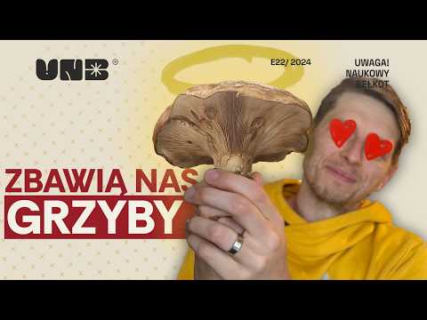 Czy grzyby nas ocalą?