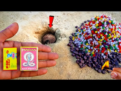 10,000 SNAKE BOMB 🐍 TESTING || Diwali Cracker Testing || क्या सांप बचेगा ? 100% Real
