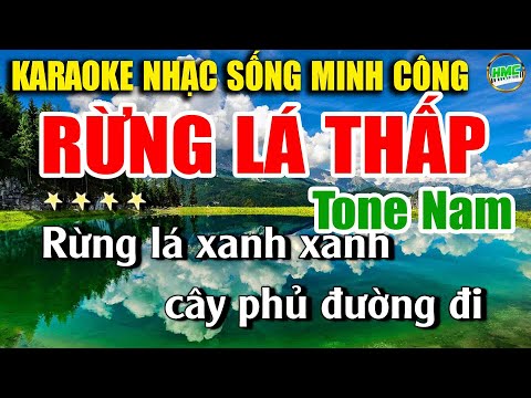 Karaoke Nhạc Trữ Tình Tone Nam Dễ Hát | Nhạc Xưa RUMBA Hải Ngoại – RỪNG LÁ THẤP