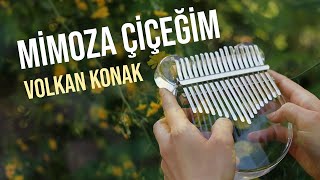 Volkan Konak - Mimoza Çiçeğim🌻| Kalimba Cover