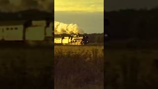 03 1010 Viva Magistrale