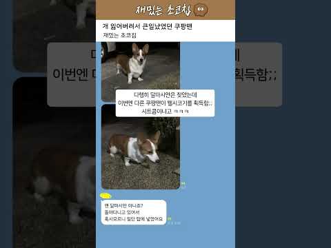 개 잃어버려서 큰일났었던 쿠팡맨