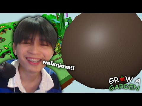 Roblox ผลไม้ที่ใหญ่ที่สุด!! ผมทำมันได้แล้ว555+ (Grow a Garden)