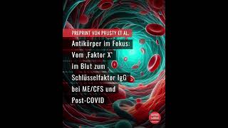 Antikörper im Fokus: Vom Faktor X im Blut zum Schlüsselfaktor IgG bei ME/CFS & Post-COVID (22.08.25)
