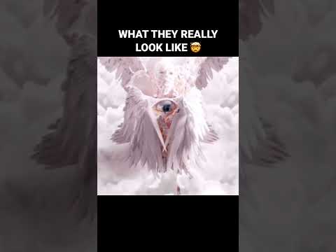 What Angels Really Look Like 🤯 #angels #fyp #xyzbca
