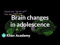 Adolescent Brain Development Concepts