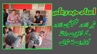 Best Pigeons of Ustad Haider Ali