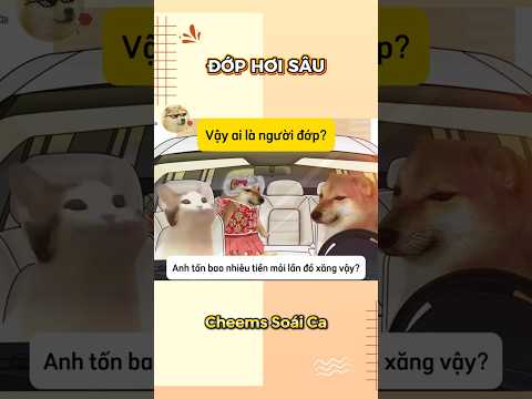 Vậy ai là người đớp? | Cheems Soái Ca #cheems
