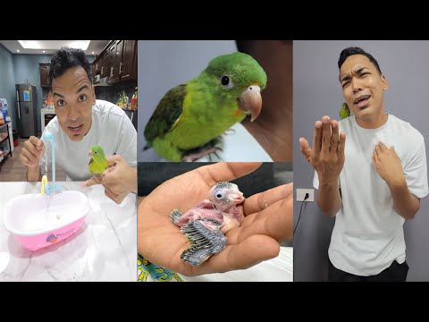 LA HISTORIA DEL PAJARO DE LARIN 😂 | 1 HORA DE RISA CON ALFREDO LARIN Y SUS AMIGOS | HUMOR LATINO