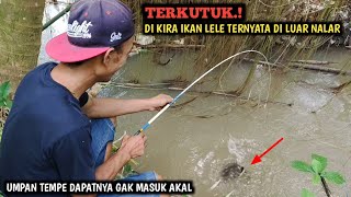 ASTAGA.!! DI KIRA IKAN LELE BESAR LIHAT APA YANG TERJADI BRO