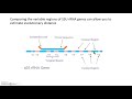 Microbial Evolution and Phylogenetics