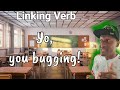 Exploring Linking Verbs for Kids
