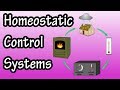 Feedback Control Systems and Homeostasis