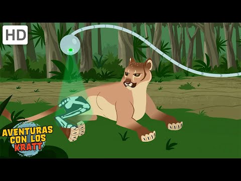 Lo mejor de la temporada 3 [episodios completos] Aventuras con los Kratt
