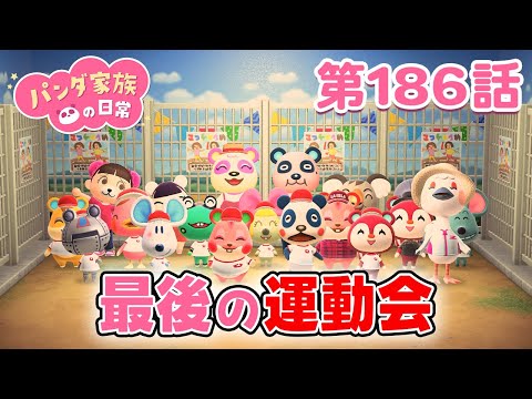 【あつ森アニメ】パンダ家族の日常 第186話「最後の運動会」