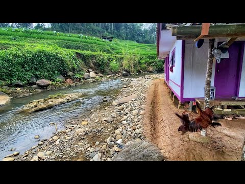 Hanya Ada 6 Rumah., Udaranya Sejuk Ayem Tentram. Alamnya Indah Damai Bikin Betah Kampung Indonesia