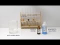 Exploring Diffusion Through Cell Membranes